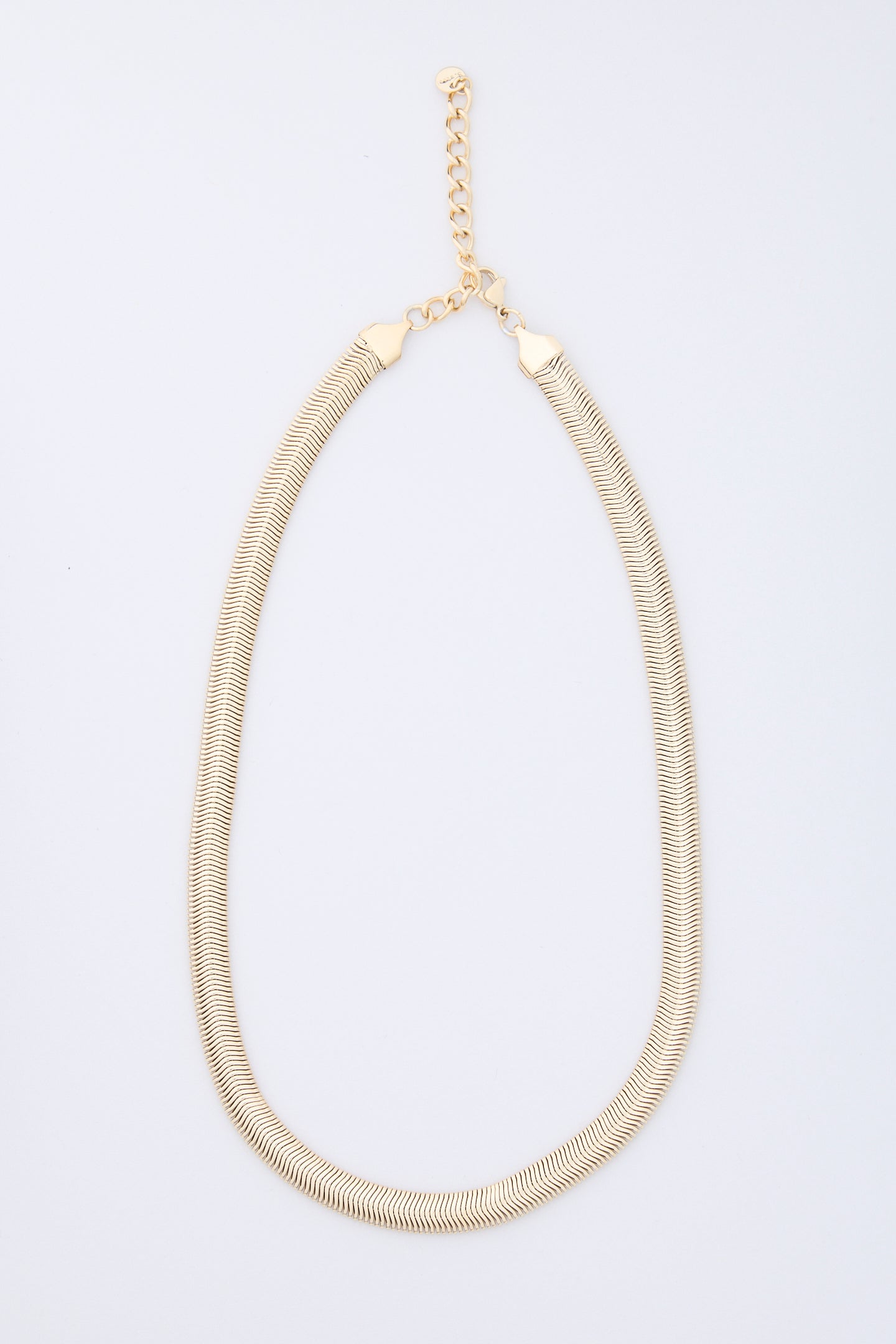 SLINKY CHAIN NECKLACE | GOLD